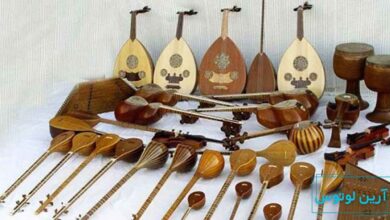 ساز زهی چیست؟