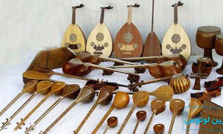 ساز زهی چیست؟