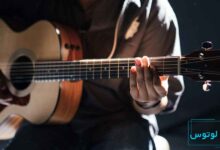 انواع چوب های مناسب برای ساز گیتار