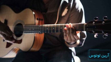 انواع چوب های مناسب برای ساز گیتار