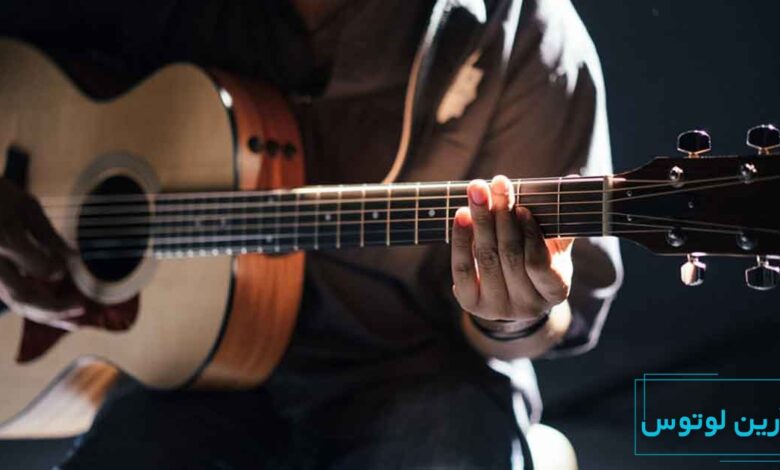 انواع چوب های مناسب برای ساز گیتار