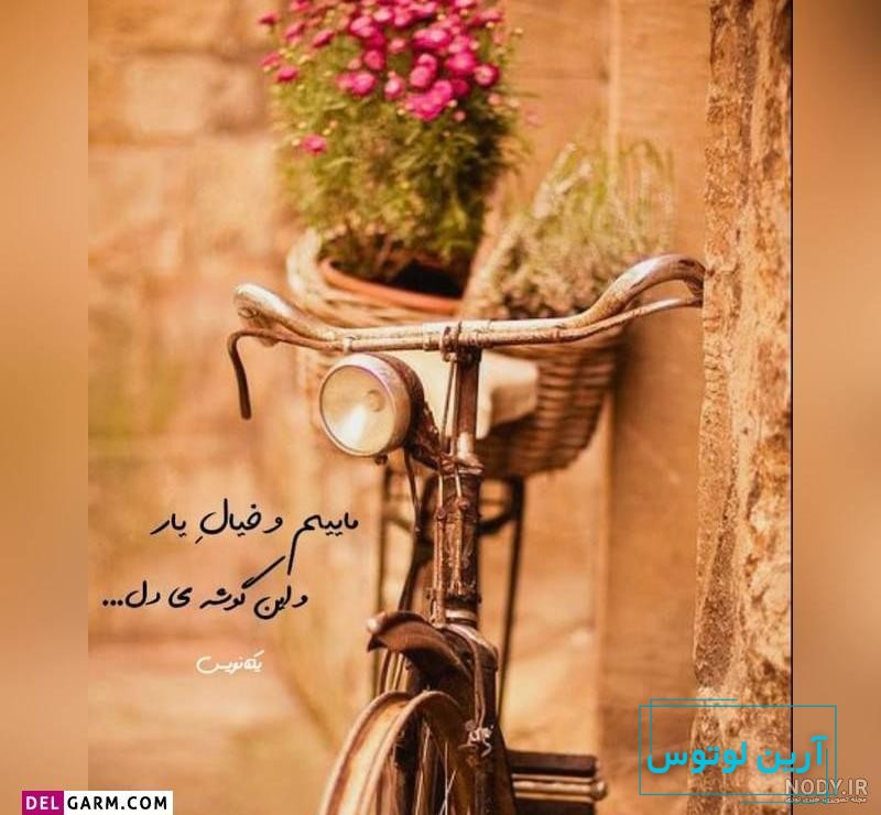 آلبوم شیک ترین عکس پروفایل های لاکچری 2019 جدید - تــــــــوپ تـــــــــاپ