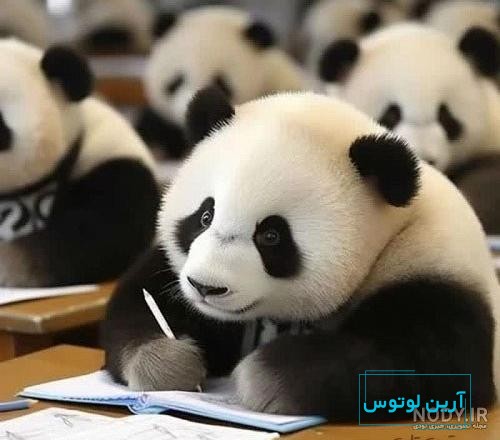 این هم چند لوگوی جدید از کرکتر های غزیز CARLO_ANDY. لایک کمنت شیر یادتان  نره تا بهتزین ها بازی تان یسازیم Afghanistan man