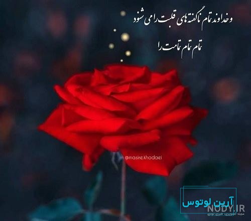 عکس پروفایل خدا شکرت جدید - عکس نودی
