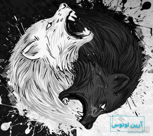 عکس پروفایل پسرانه لاتی خارجی ❤️ [ بهترین تصاویر ]