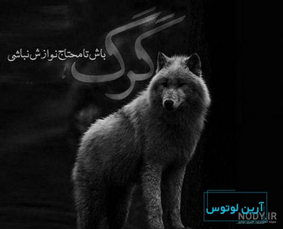 عکس پسرانه لاتی خفن و شاخ برای پروفایل با متن و بدون متن
