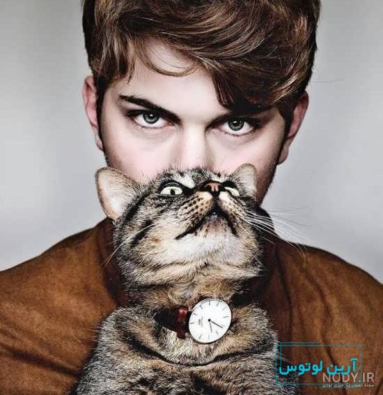 ۴۰ عکس گربه کیوت و ملوس ۱۴۰۳ برای پروفایل و عکس گربه باکیفیت برای بکگراند و