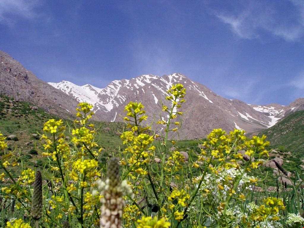 معرفی روستای کمندان