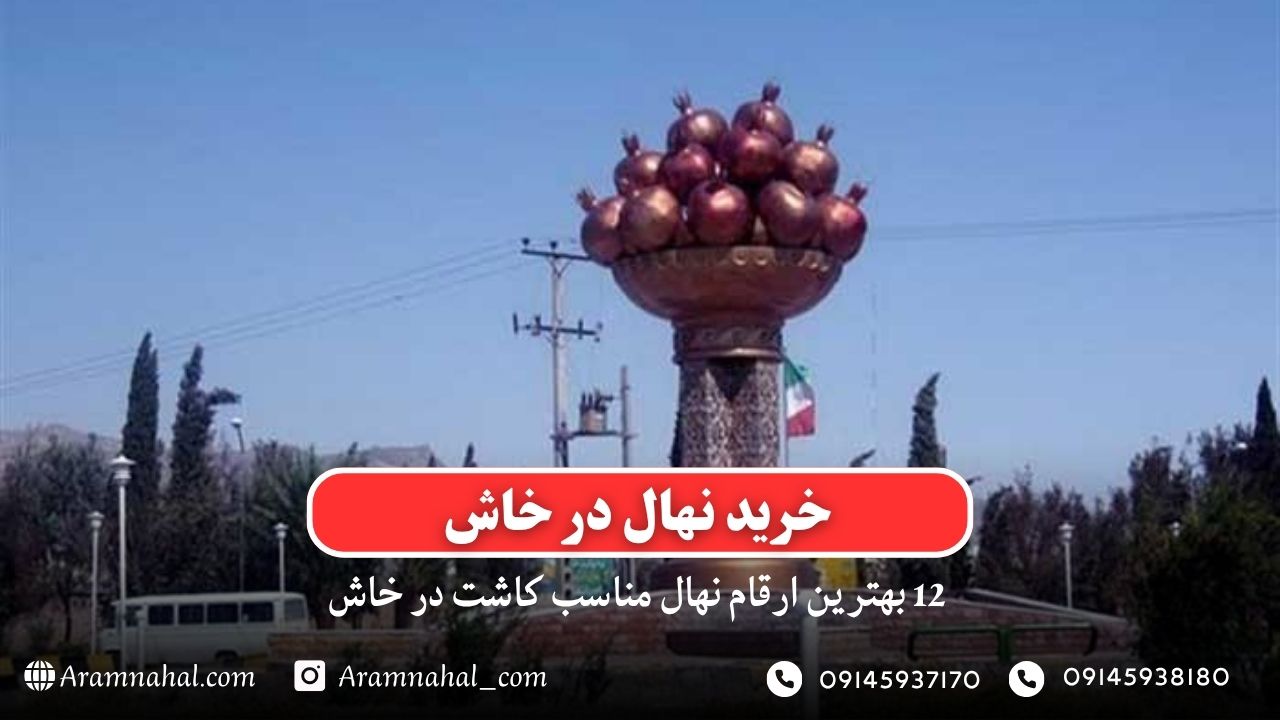 ویژگی‌های منحصربه‌فرد خرمای مجول دزفول