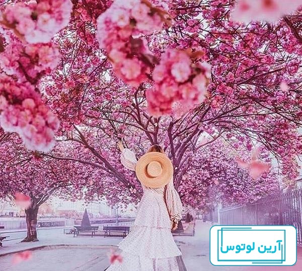 آلبوم عکس پروفایل بهاری دخترانه 2022 جدید - تــــــــوپ تـــــــــاپ