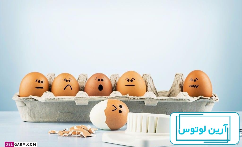 25 ایده تزیین تخم مرغ برای روز جهانی تخم مرغ (دخترانه،پسرانه)