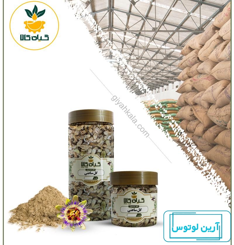 بذر پیچ گل ساعتی آبی به همراه آموزش کاشت پیچ گل ساعتی - پوپونیک
