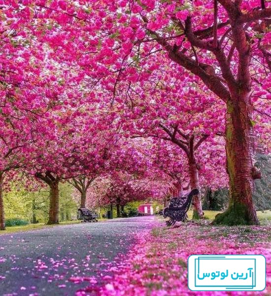 بهترین عکس پروفایل 1401 دخترونه فوق العاده زیبا و بدون متن فیک