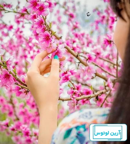 بهترین عکس پروفایل دخترونه + پروفایل دخترونه لاکچری اینستا