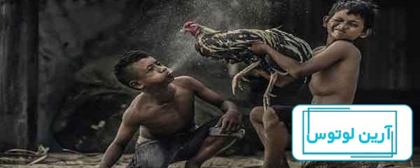 بچه پایین شهر عجب حرفی زد لاتی لاتی