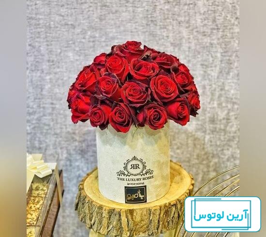 تزیین شیرینی خشک و خامه ای + چیدمان شیرینی برای مهمانی