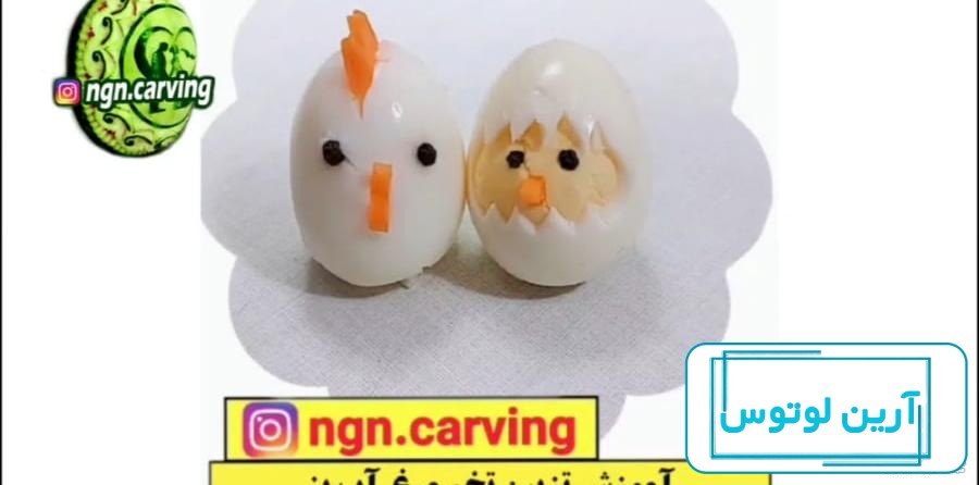 تزیین غذای کودک با تخم مرغ آبپز و نیمرو- مجله اسنپ مارکت