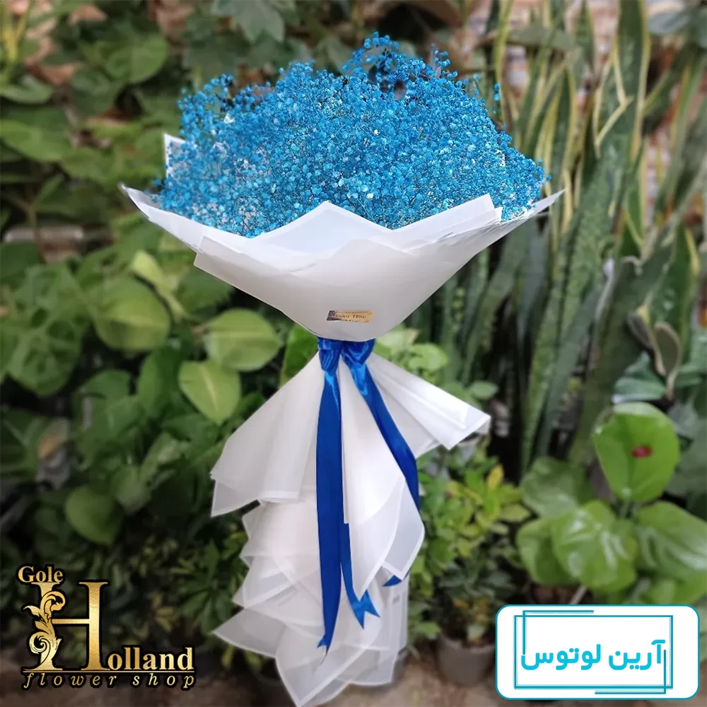 خرید آنلاین باکس گل ژیپسوفیلا سفید | گلفروشی آنلاین انگور