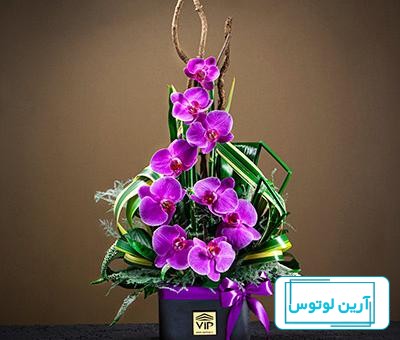 دانلود عکس گل برای روز معلم