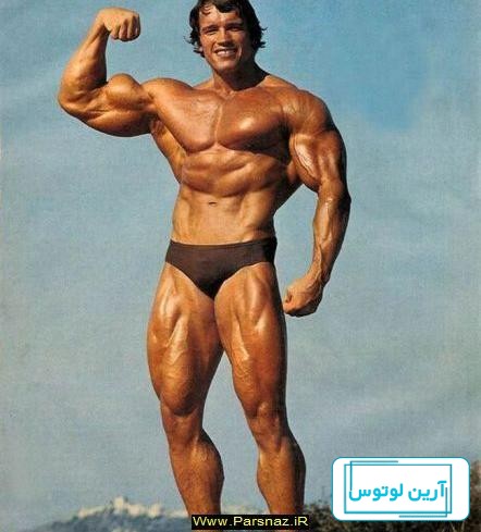 عکس آرنولد برای پروفایل