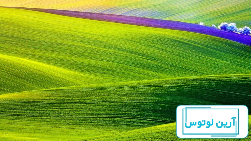 26 عکس از زیبایی های طبیعت در فصل بهار