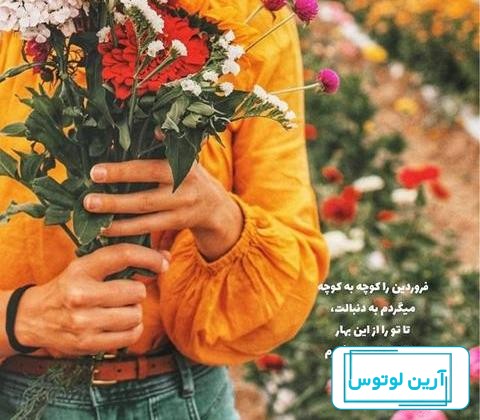 32 عکس از زیبایی گل و دریا برای پروفایل شما