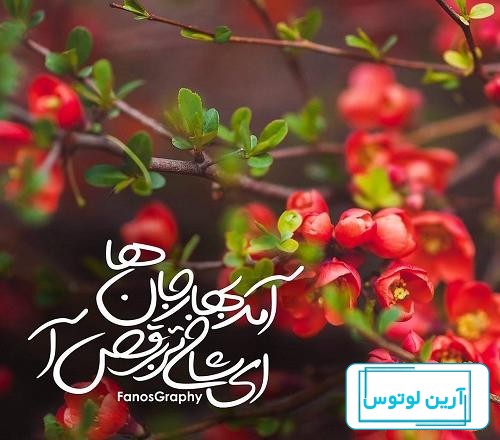 عکس بهار جان - عکس نودی