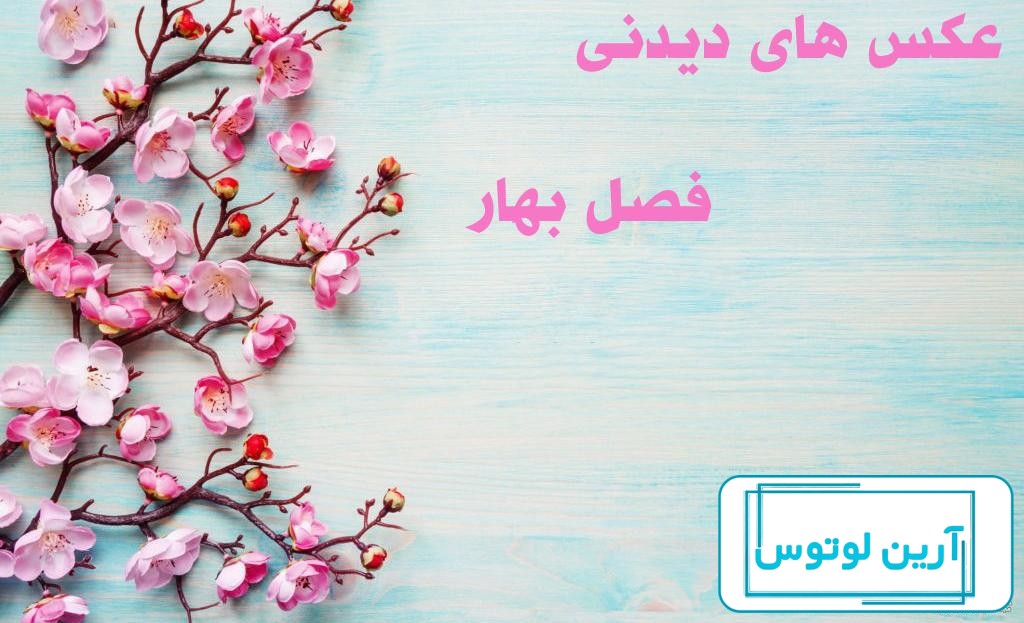 عکس بهار جان ها - عکس نودی