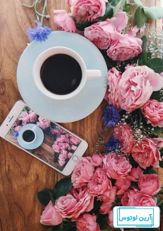 عکس بهار | 100 عکس بهاری حرفه ای قشنگ برای استوری و پست
