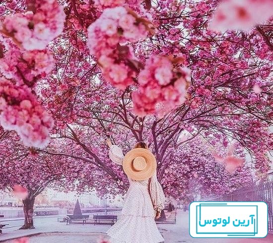 عکس بهاری دخترانه برای پروفایل - عکس نودی