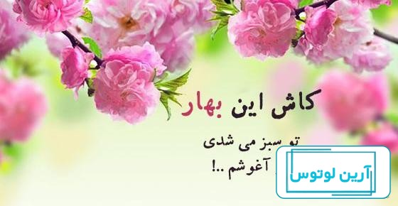 عکس های بهاری دخترانه ❤️ [ بهترین تصاویر ]