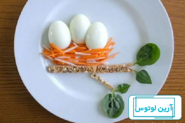 عکس تزیین با تخم مرغ آب پز