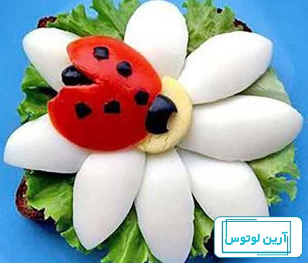 عکس تزیین شده تخم مرغ آب پز