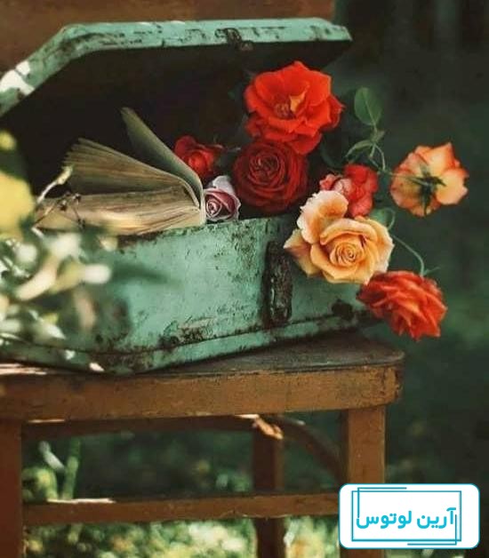 عکس های جدید و جذاب برای پروفایل