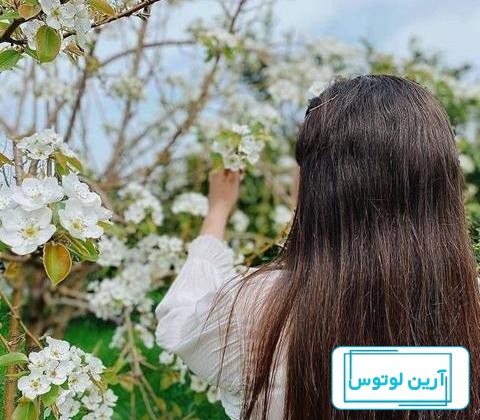 عکس دختر در فصل بهار برای پروفایل