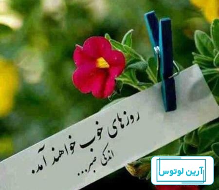 عکس درباره شروع دوباره