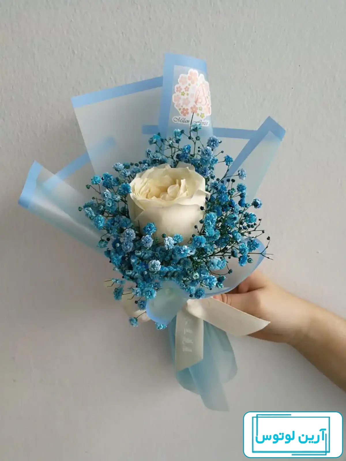 عکس دسته. گل ژیپسوفیلا سفید