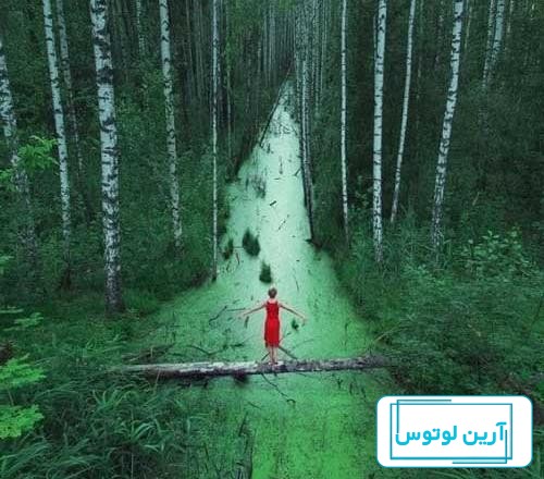 عکس روح برای پروفایل 2023 | عکس روح برای پروفایل بامزه | عکس روح برای  پروفایل گروه | عکس روح برای پروفایل پسرانه