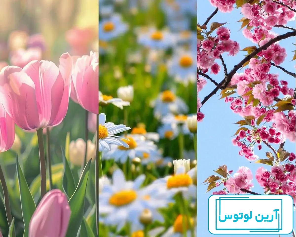 70 عکس زیبا و حیرت انگیز فصل بهار با کیفیت بالا