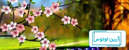 70 عکس زیبا و حیرت انگیز فصل بهار با کیفیت بالا