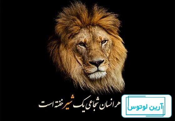عکس شیر ماده پشت سر بچه
