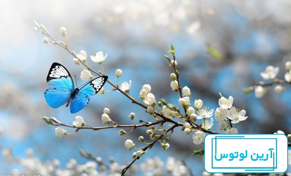 عکس طبیعت بهاری؛‌ مجموعه عکس با کیفیت و زیبای بهاری - ستاره