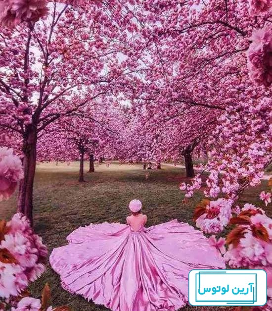 عکس طبیعت بهاری؛‌ مجموعه عکس با کیفیت و زیبای بهاری - ستاره