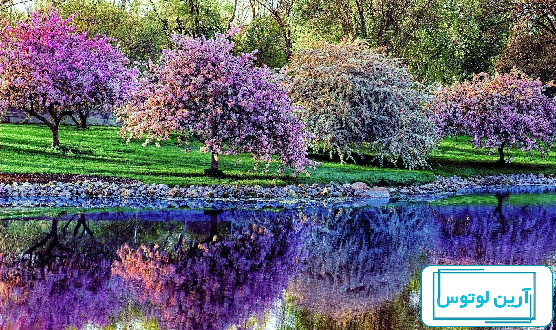 عکس در مورد بهار برای پروفایل