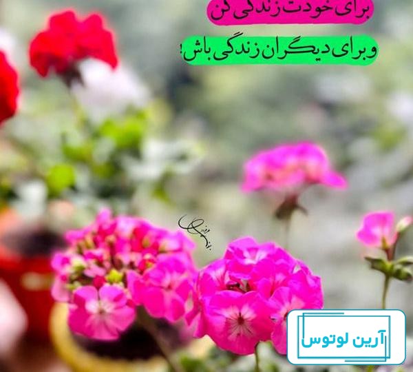 عکس نوشته های آموزنده و مفهومی