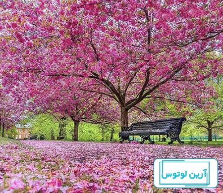 عکس نوشته بهاری عاشقانه برای پروفایل + جملات احساسی بهار