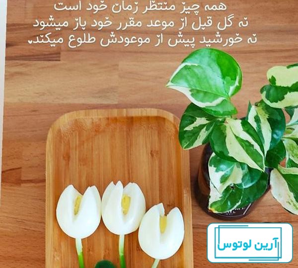 عکس پروفایل آموزنده ؛ عکس نوشته های با مفهوم و آموزنده با جملات زیبا