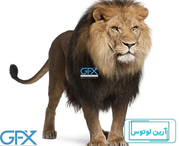 عکس پروفایل از شیر گرفتن بچه