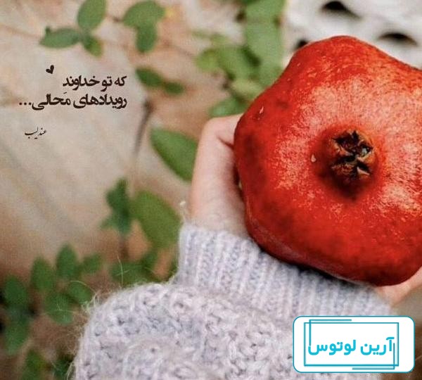 عکس پروفایل برای شب یلدا جدید