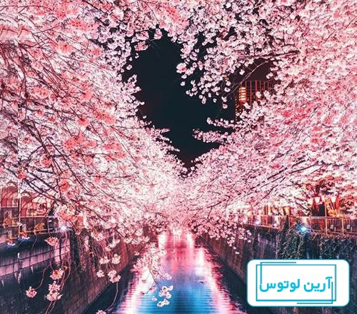 عکس پروفایل بهار 2023 | عکس بهار | عکس پروفایل طبیعت | عکس طبیعت بهاری | عکس  پروفایل شیک